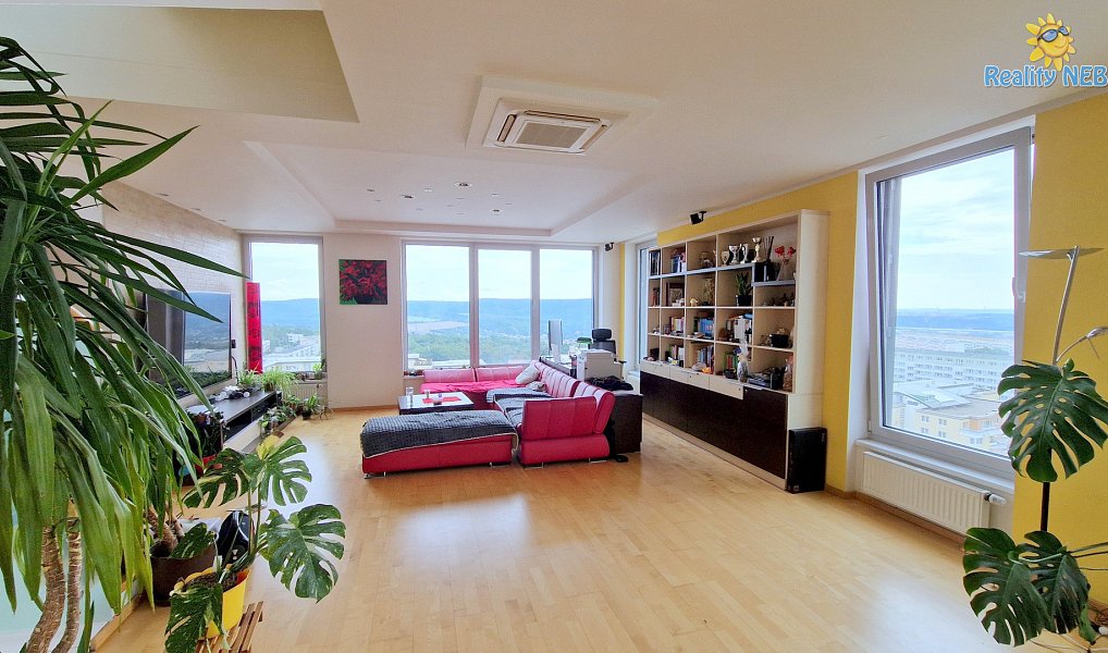 Prodej bytu 4+kk 446 m², Brno – náhled fotky 6