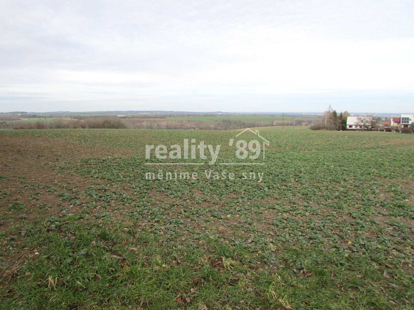 Prodej stavebního pozemku 4 101 m² – fotografie 5