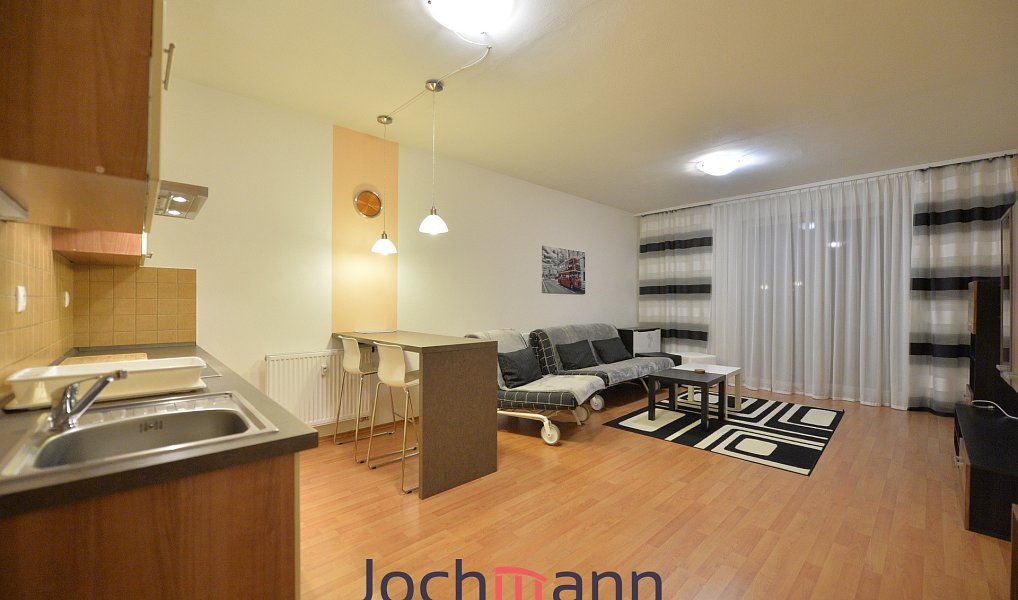 Pronájem bytu 1+kk, 43 m², České Budějovice 3 - České Budějovice, České Budějovice