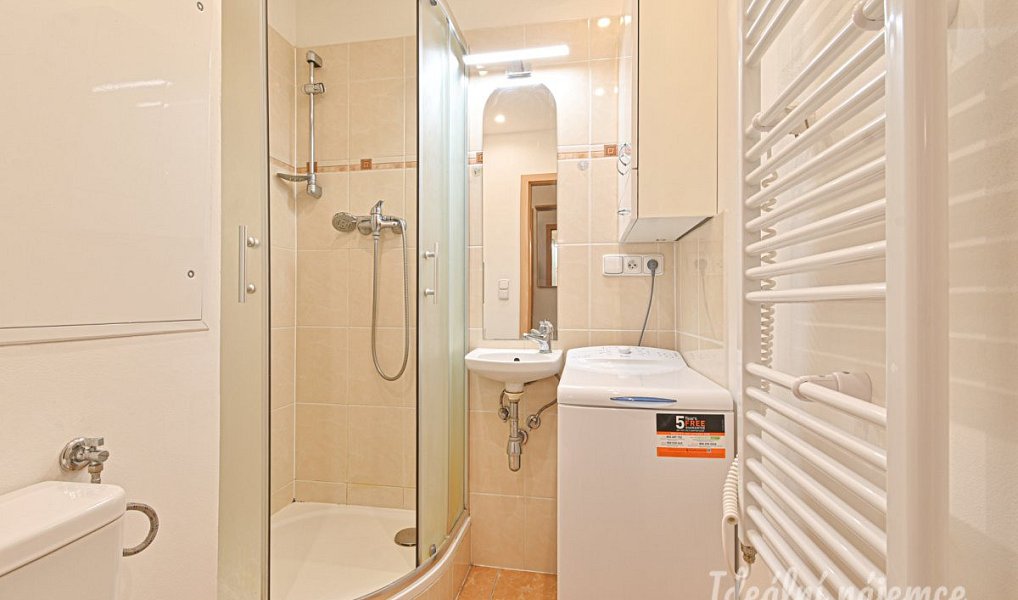 Pronájem bytu 2+1 38 m², Brno – náhled fotky 11