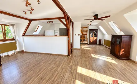 Prodej bytu 4+kk 165 m², Podkrušnohorská, Litvínov - Horní Litvínov, okres Most