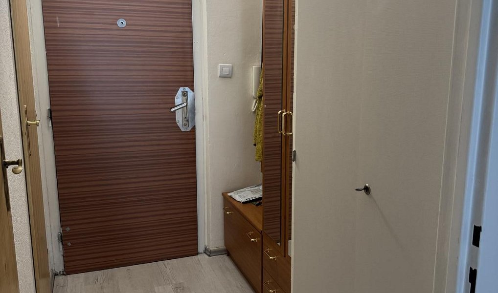 Prodej bytu 1+kk 27 m², Ostrava – náhled fotky 12