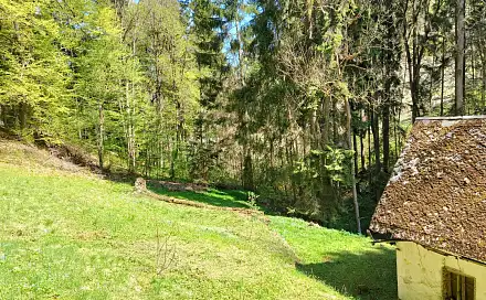 Prodej stavebního pozemku 3 282 m², Koberovy - Chloudov, okres Jablonec nad Nisou