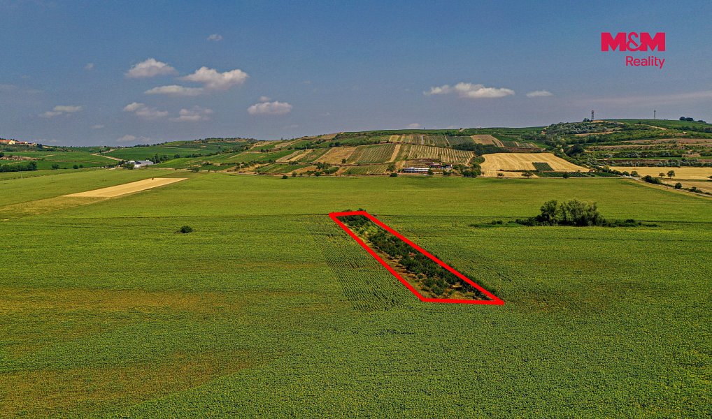 Prodej pole 14 490 m², Zaječí – náhled fotky 12