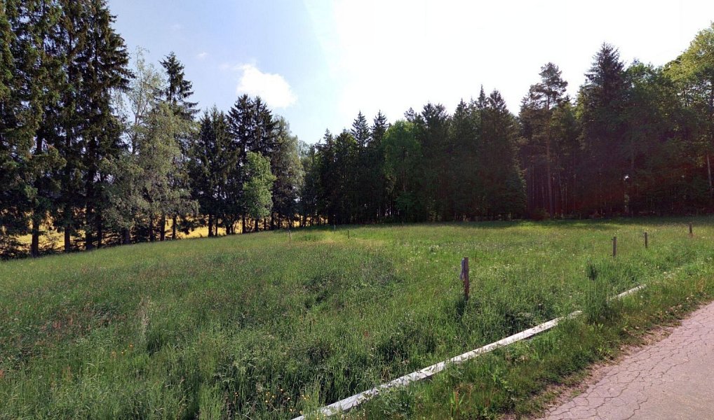 Prodej louky 3 433 m², Přívrat – náhled fotky 3