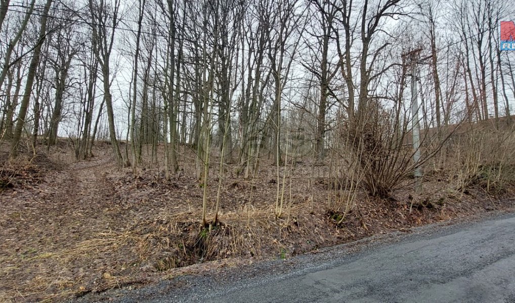 Prodej pozemku 1 220 m², Budišov nad Budišovkou – náhled fotky 2
