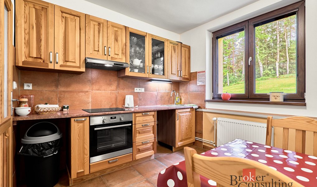 Prodej komerčního objektu (jiného typu) 800 m², Nejdek – náhled fotky 43