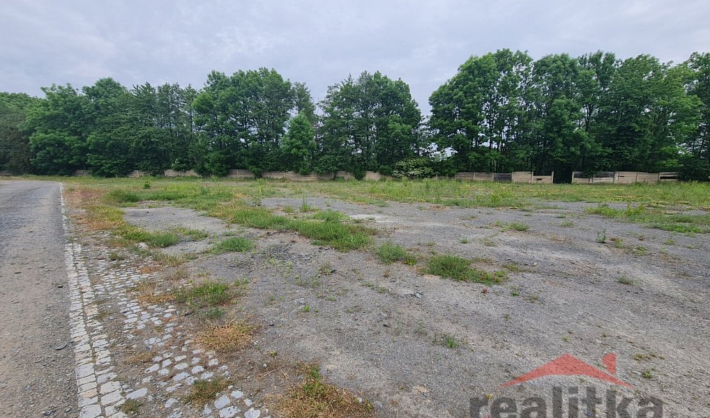Prodej komerčního pozemku 6 000 m², Brumovice – náhled fotky 3