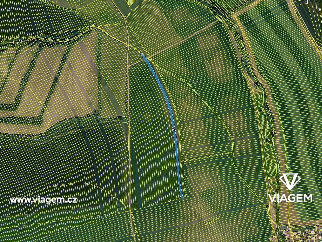 Prodej pole 3 082 m² – fotografie 4