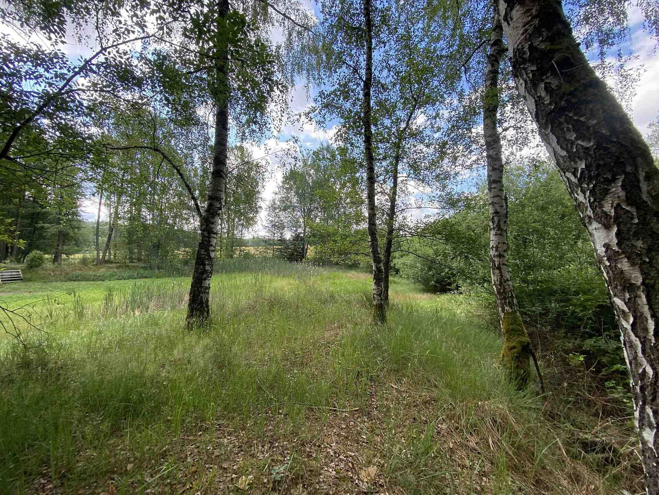 Prodej louky 10 951 m² – fotografie 5