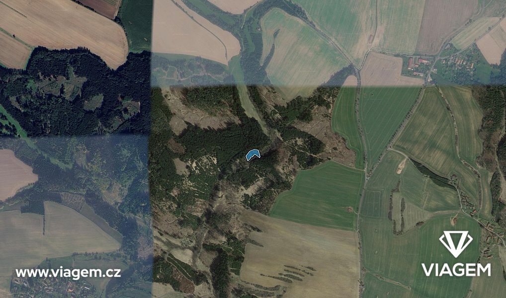 Prodej lesa 2 112 m², Zbizuby – náhled fotky 3