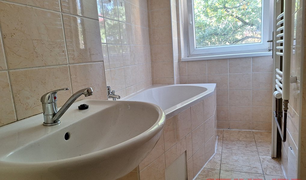 Pronájem bytu 1+1 45 m², Plzeň – náhled fotky 13