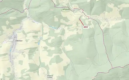 Dražba lesa 435 m², Zděchov