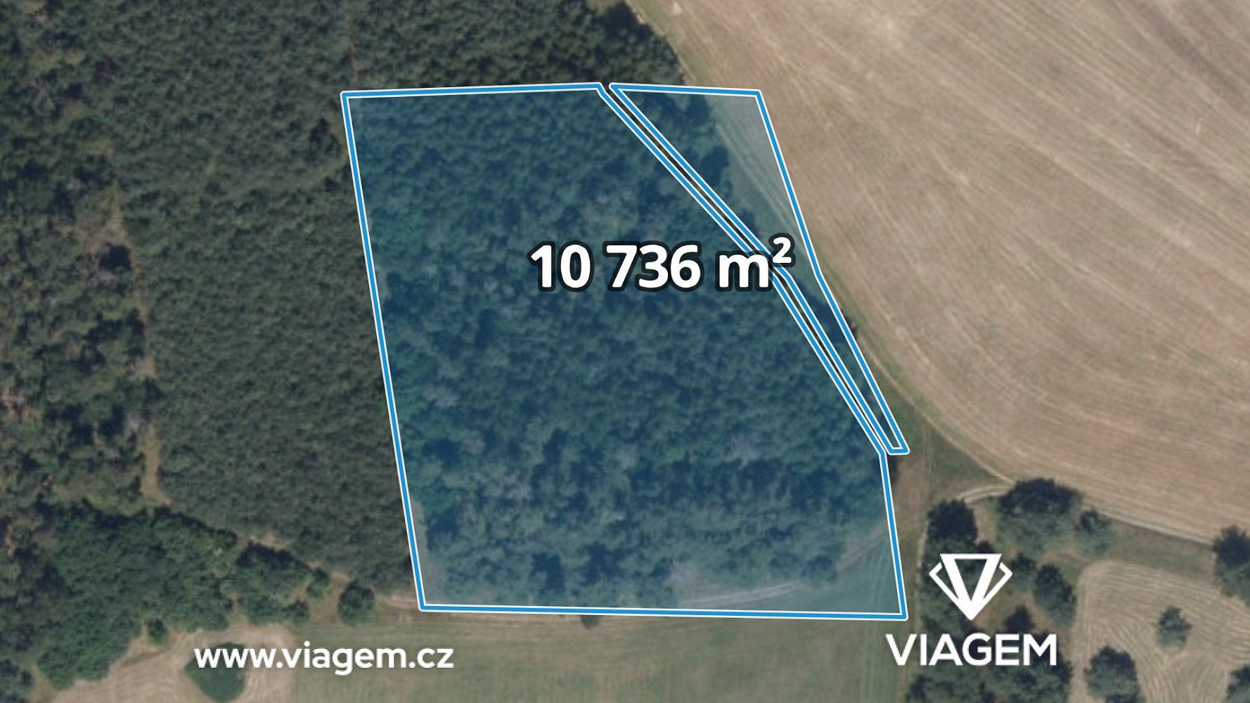 Prodej lesa 2 684 m²