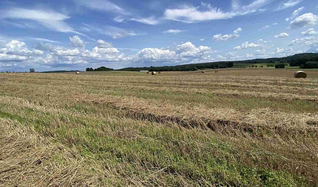 Prodej pole 55 481 m², Lhenice – náhled fotky 23