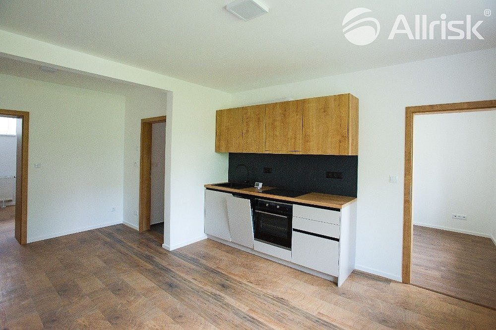 Prodej bytu 3+kk 48 m² — photo 4
