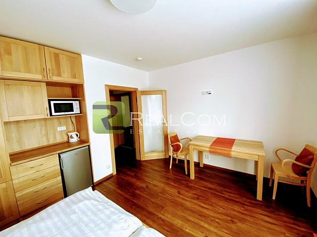 Pronájem bytu 1+kk 24 m² — photo 3