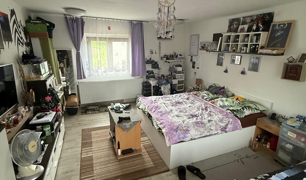 Prodej domu 430 m² s pozemkem 845 m², Němětice – náhled fotky 5