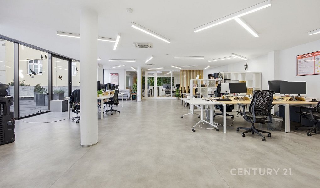 Pronájem kanceláře 232 m², Praha – náhled fotky 5