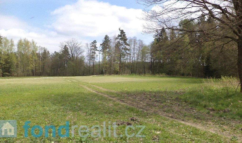 Prodej pozemku 6 528 m², Stráž nad Nežárkou – náhled fotky 3
