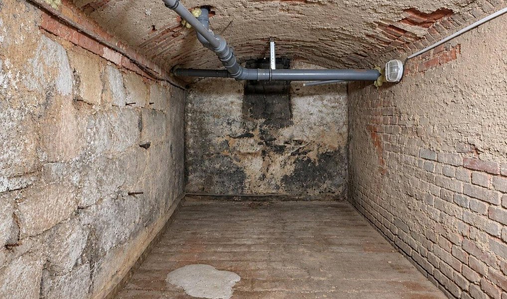 Prodej ostatní Ostatní, 135m2, Plzeň, Plzeň 2-Slovany, Východní Předměstí, Plzeň – náhled fotky 6