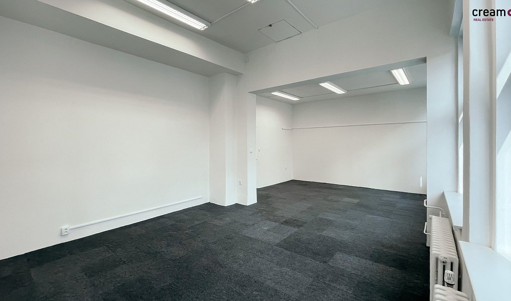 Pronájem kanceláře 44 m², Mělník – náhled fotky 4