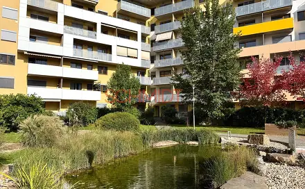 Pronájem bytu 2+kk 53 m², Sochorova, Brno - Žabovřesky