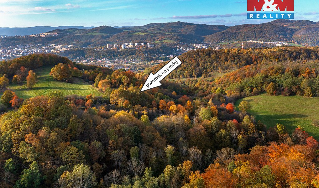 Prodej louky 14 398 m², Ústí nad Labem – náhled fotky 6