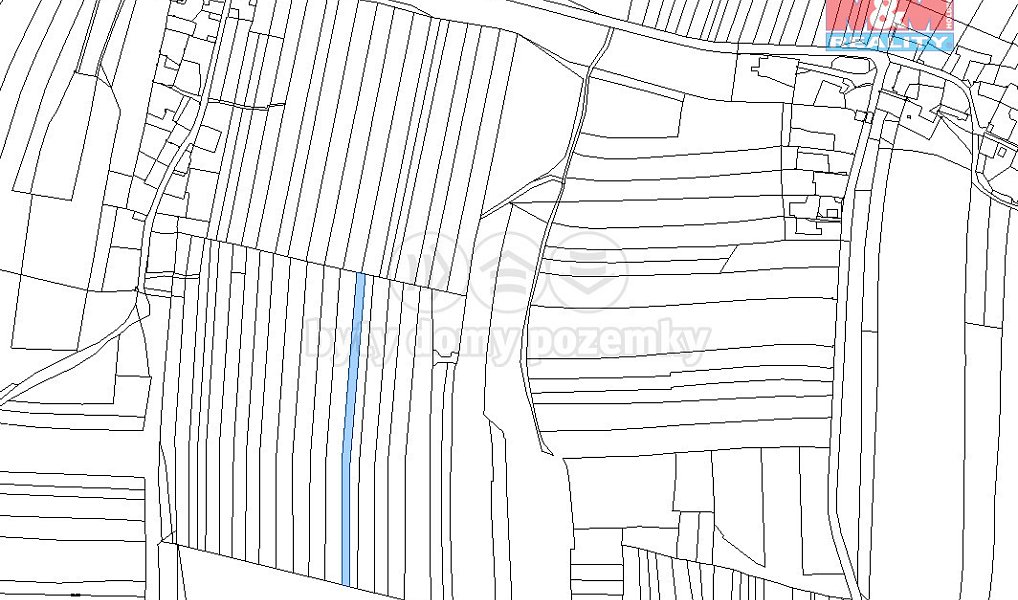 Prodej lesa 6 005 m², Dražíč – náhled fotky 4
