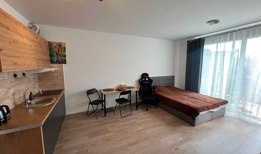 Prodej bytu 1+kk 42 m², Praha – náhled fotky 5