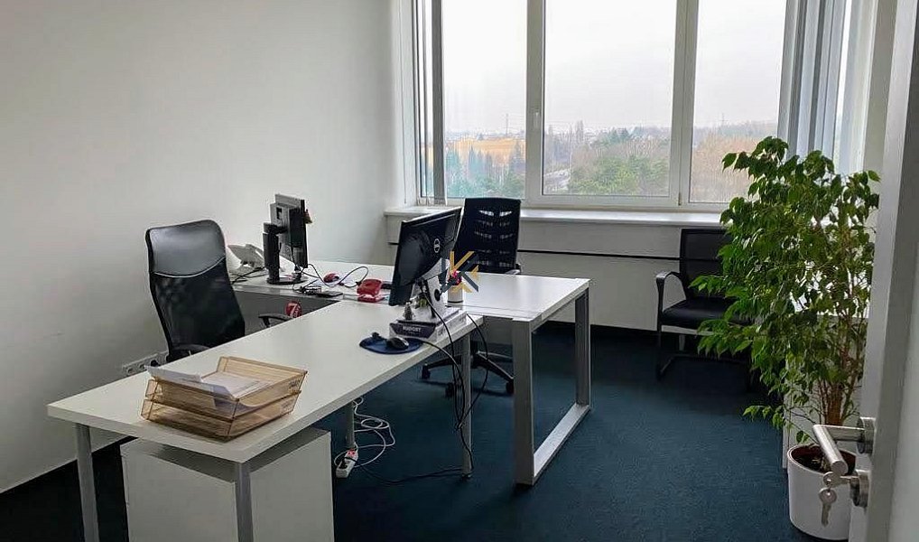 Pronájem kanceláře 277 m², Praha – náhled fotky 4