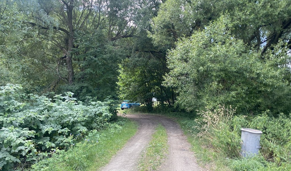 Prodej domu 250 m² s pozemkem 2 793 m², Osová Bítýška – náhled fotky 13
