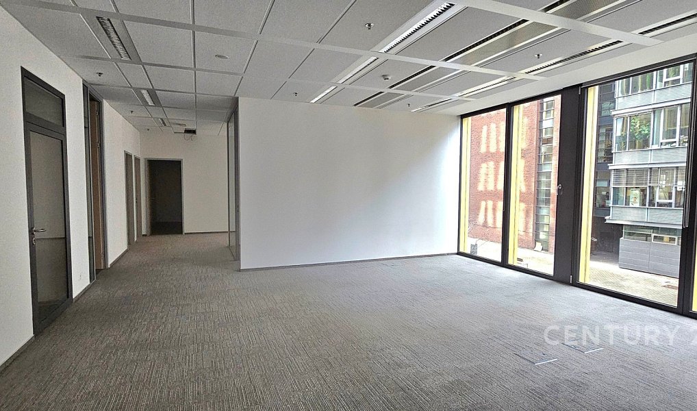 Pronájem kanceláře 535 m², Praha – náhled fotky 13