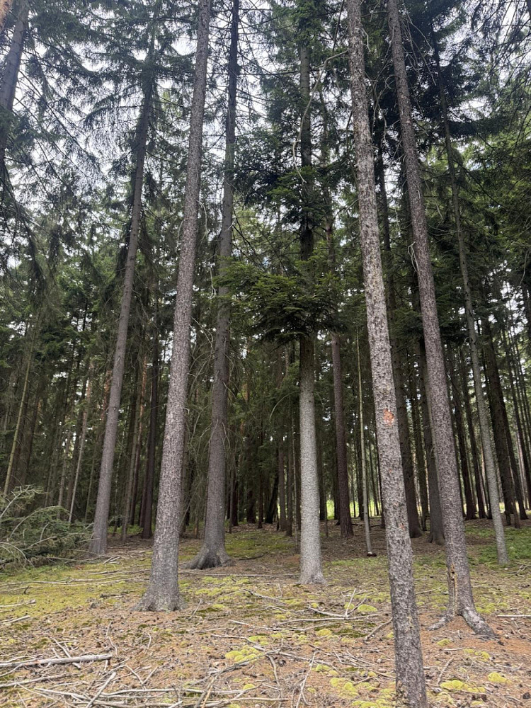 Fotka 14 z 29