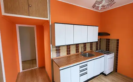 Pronájem bytu 2+1 54 m², Maxe Švabinského, Most