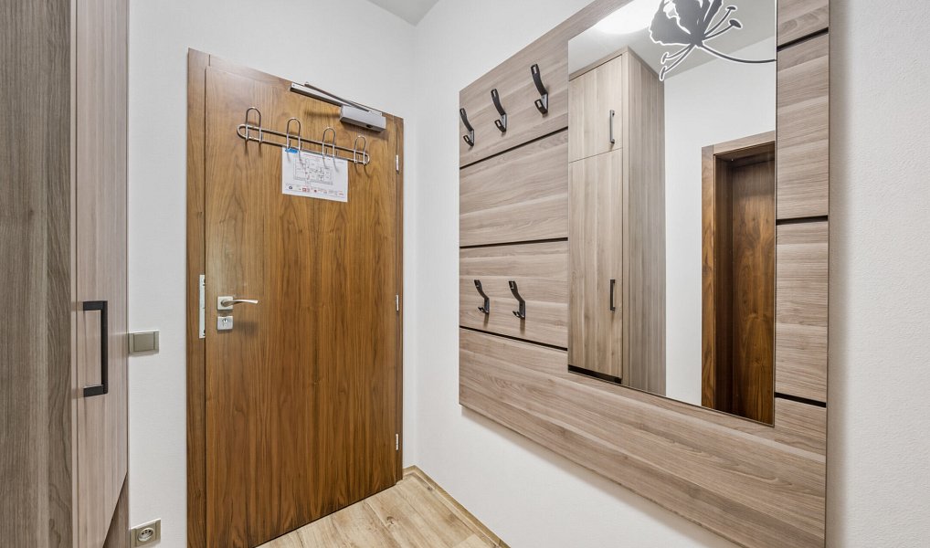 Prodej bytu 1+kk 40 m², Železná Ruda – náhled fotky 11