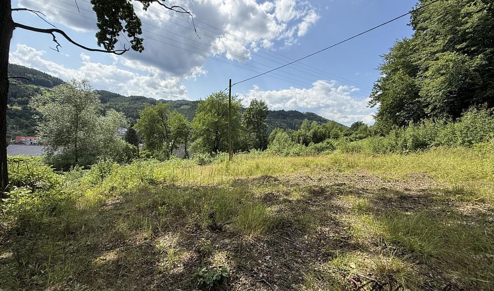 Prodej stavebního pozemku 2 186 m², Vsetín – náhled fotky 5