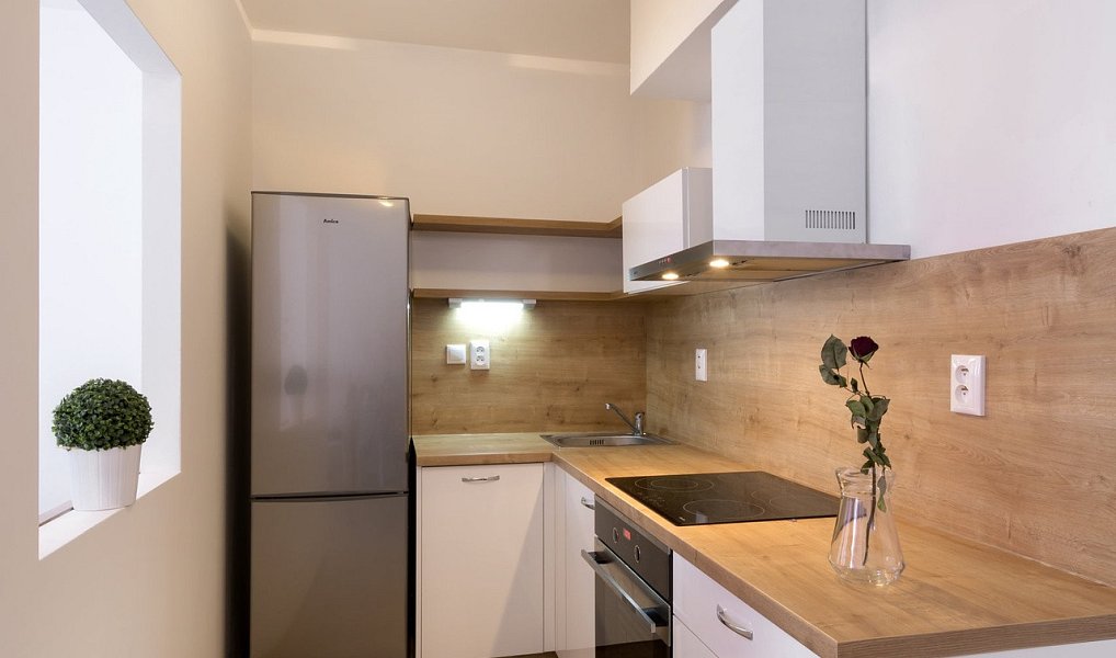 Prodej bytu 2+kk 48 m², Brno – náhled fotky 2