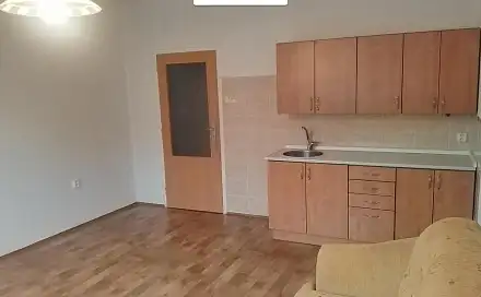 Prodej bytu 1+1 43 m², Dobiášova, Liberec - Liberec VI-Rochlice