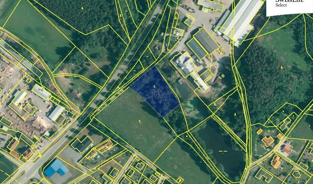 Prodej lesa 4 442 m², Rodvínov – náhled fotky 5