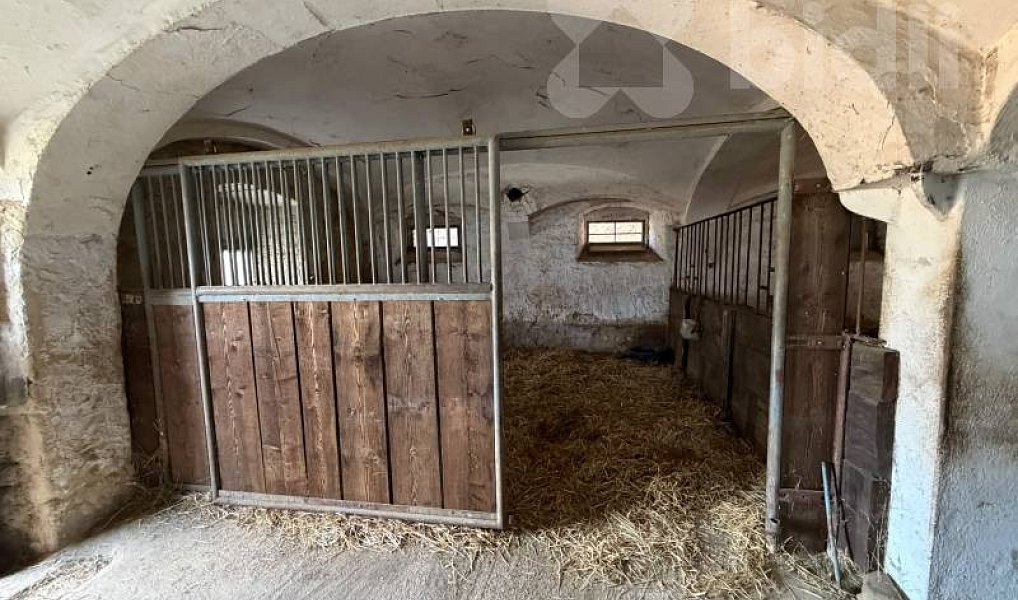 Prodej zemědělského objektu 300 m², Varnsdorf – náhled fotky 17