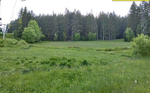 Prodej pozemku 4 563 m², Stachy, okres Prachatice