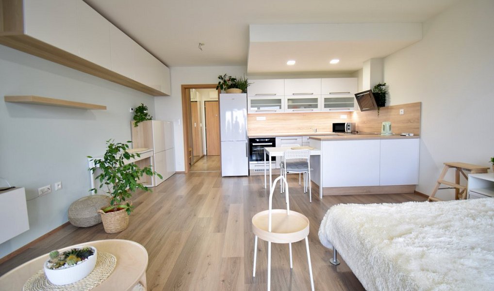 Pronájem bytu 1+kk 41 m², Olomouc – náhled fotky 3