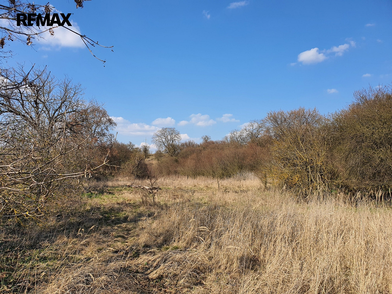 Prodej zahrady 9 203 m², Němčany