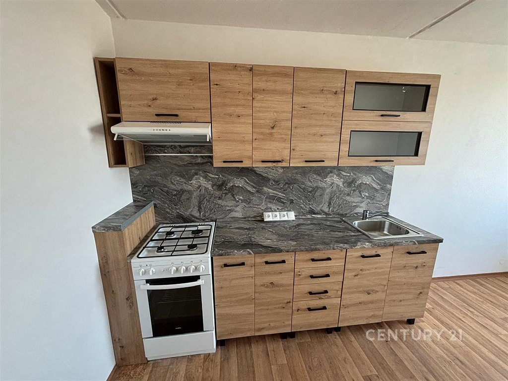Pronájem bytu 3+1 69 m², Most