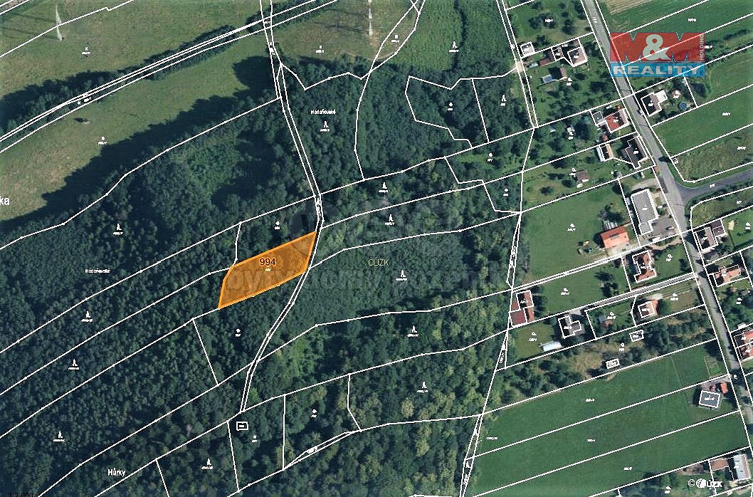 Prodej lesa 1 729 m² – fotografie 4