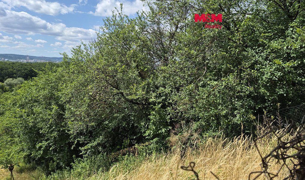 Prodej zahrady 1 358 m², Brno – fotka 1 z 12