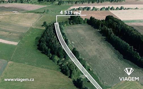 Prodej lesa 647 m², Olešník, okres České Budějovice