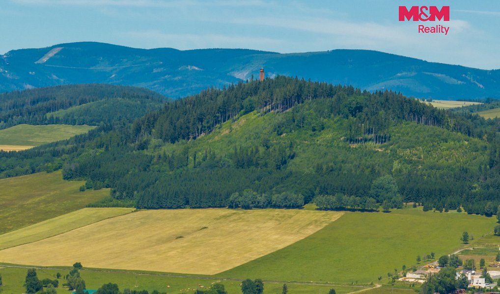 Prodej stavebního pozemku 1 251 m², Červená Voda – náhled fotky 22