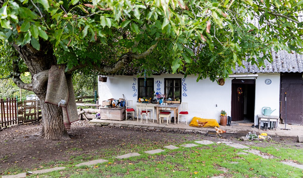 Prodej domu 60 m² s pozemkem 13 269 m², Litíč – náhled fotky 4